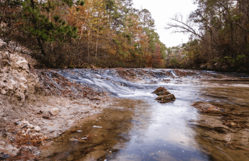 A serene river flows over rocks, surrounded by trees with autumn foliage, creating a peaceful natural scene.