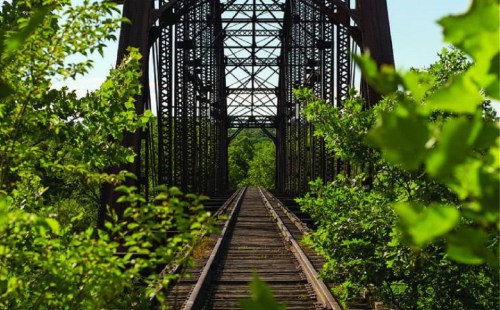 A view of a railway bridge surrounded by lush green foliage and trees, with tracks leading into the distance.
