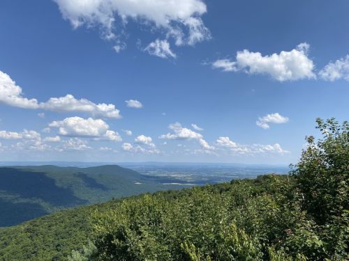 A panoramic view of rolling green hills under a blue sky with fluffy white clouds.