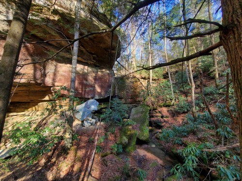 A serene forest scene featuring rocky cliffs, lush greenery, and a small stream flowing through the underbrush.