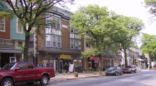 A quaint street lined with trees, featuring shops and parked cars in a charming neighborhood.