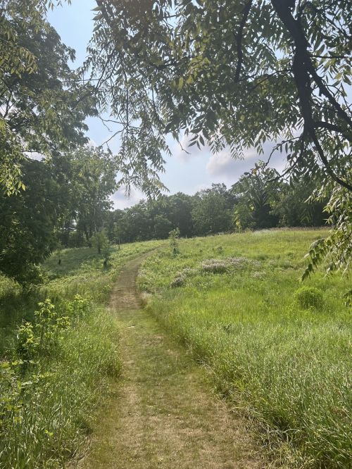 A winding dirt path through lush green grass and trees under a bright sky.