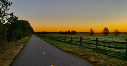 A peaceful pathway lined with trees, leading to a vibrant sunset over a grassy field and wooden fence.