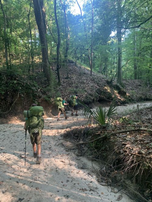 Three hikers with backpacks walking along a sandy trail in a lush, green forest.