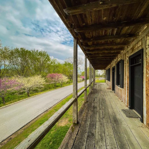 A wooden porch overlooks a road lined with blooming trees under a cloudy sky.