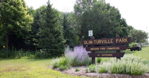 Sign for Olin-Turville Park with greenery and flowers in the background, indicating park entrance and Madison Park Commission.