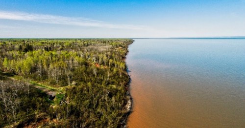 Aerial view of a serene lake bordered by lush green trees and a clear blue sky.