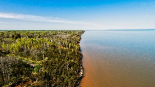 Aerial view of a serene lake bordered by lush green trees and a clear blue sky.