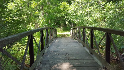 A wooden bridge with a metal frame spans a lush green forest path, surrounded by trees and foliage.