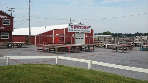 A red building with a sign reading "Cottontown" surrounded by empty picnic tables and a gravel area.