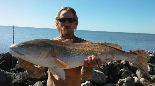 A man with long hair and sunglasses holds a large fish by the water, with rocks and a clear blue sky in the background.
