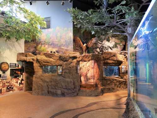 A nature exhibit featuring rock formations, trees, and animal displays in a museum setting.