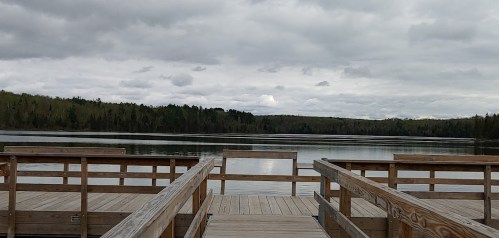 A wooden dock extends over a calm lake, surrounded by lush green trees under a cloudy sky.