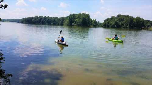 Two people kayaking on a calm lake surrounded by lush green trees under a bright blue sky.