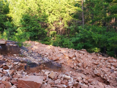 Rocky terrain with scattered stones and lush green trees in the background, indicating a forested area.
