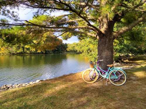 Two colorful bicycles lean against a tree by a serene lake, surrounded by lush greenery and a peaceful landscape.