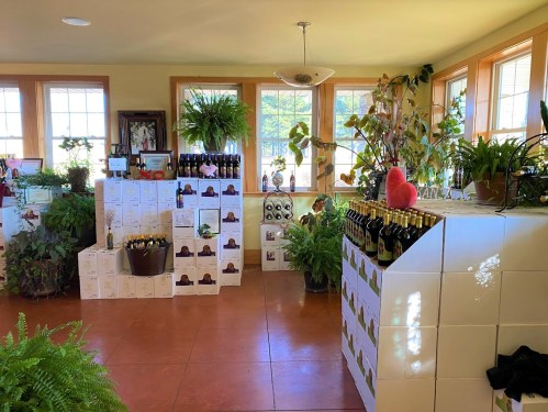 A cozy room filled with plants, wine bottles, and boxes, featuring large windows and warm natural light.