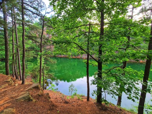 Lush green trees frame a serene lake, reflecting the vibrant foliage under a clear sky.