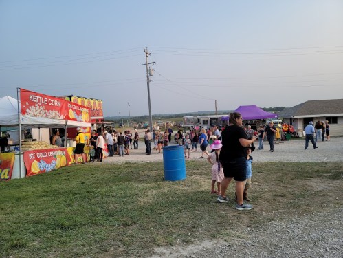 A busy outdoor fair scene with food stalls, people in line, and a grassy area under a clear sky.