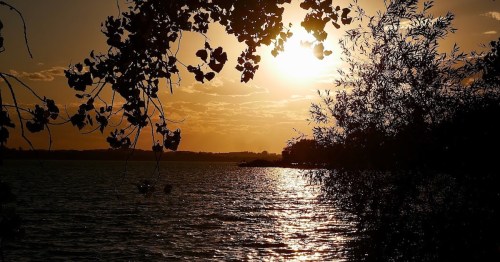 Sunset over a calm lake, with silhouetted trees framing the scene and golden light reflecting on the water.
