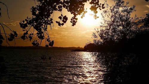 Sunset over a calm lake, with silhouetted trees framing the scene and golden light reflecting on the water.