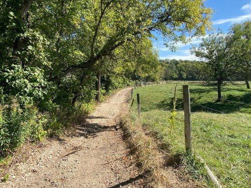 A winding dirt path surrounded by trees and a grassy field under a clear blue sky.