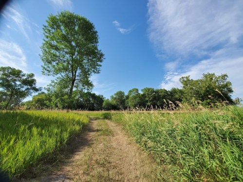 A grassy path leads through a vibrant green field under a blue sky with scattered clouds and trees in the background.