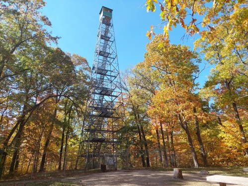 A tall metal observation tower surrounded by colorful autumn trees under a clear blue sky.