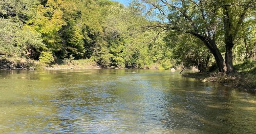 A serene river flows through a lush green landscape, with trees lining the banks under a clear blue sky.