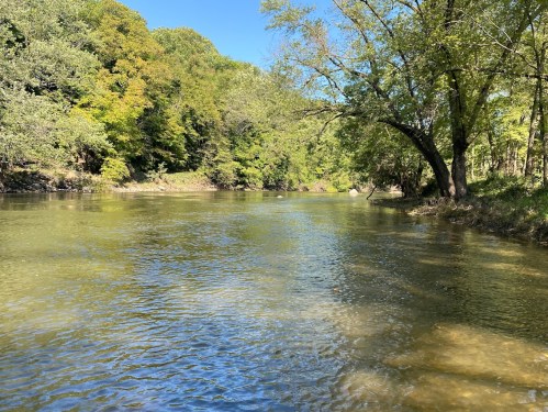 A serene river flows through a lush green landscape under a clear blue sky. Trees line the banks, reflecting in the water.