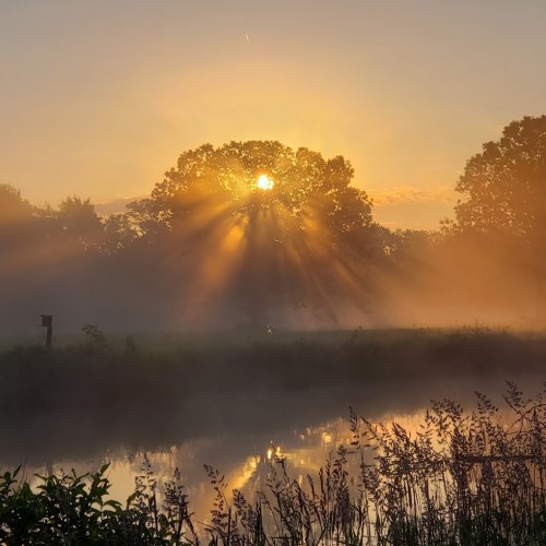 A serene sunrise over a misty landscape, with sunlight streaming through trees and reflecting on a calm water surface.