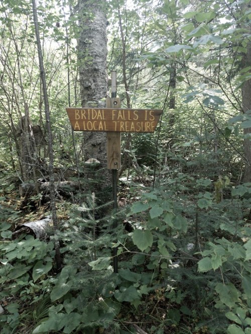 A wooden sign in a forest reads, "Bridal Falls is a local treasure," surrounded by trees and greenery.