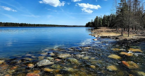 A serene lake scene with clear blue water, rocky shoreline, and trees under a bright sky with fluffy clouds.