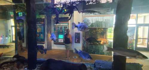 A person stands near a large aquarium filled with various fish, surrounded by informational displays and aquatic plants.