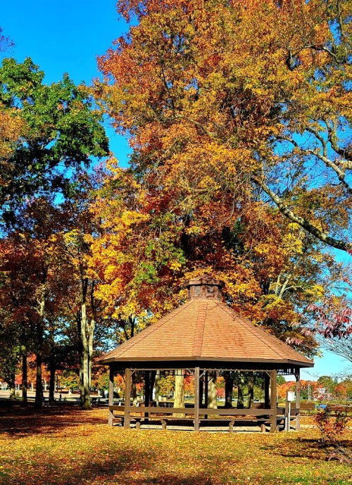 A wooden gazebo surrounded by vibrant autumn trees and colorful foliage under a clear blue sky.