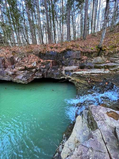 A serene turquoise pool surrounded by rocky edges and trees, with gentle water flowing over the rocks.