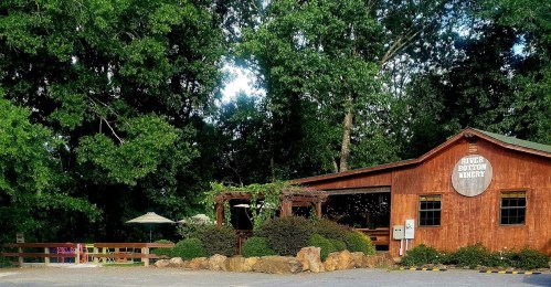 A rustic wooden winery surrounded by lush greenery, featuring a sign that reads "River Bottom Winery."