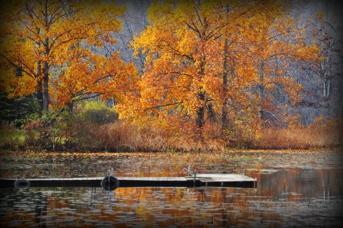 A serene lake scene with a wooden dock surrounded by vibrant autumn trees and calm water reflections.