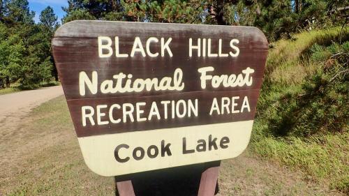 Sign for Black Hills National Forest Recreation Area, featuring Cook Lake, surrounded by trees and grass.
