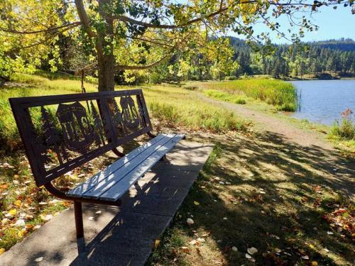 A metal bench with a scenic view of a lake, surrounded by trees and colorful autumn foliage.