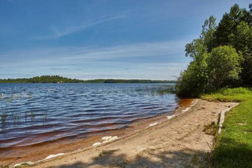A serene lakeside view with gentle waves, sandy shore, and lush greenery under a clear blue sky.