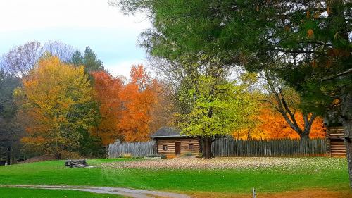 A rustic cabin surrounded by vibrant autumn trees in shades of orange, yellow, and green.
