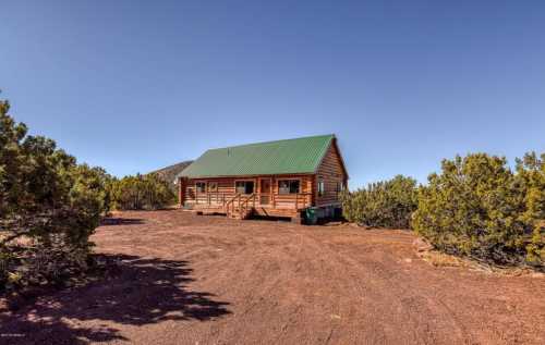 A log cabin with a green metal roof surrounded by shrubs and a clear blue sky.