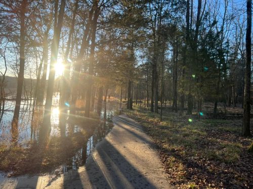 A sunlit path beside a lake, surrounded by trees, with reflections on the water and shadows on the ground.