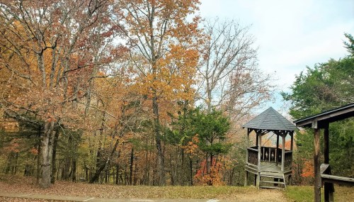A wooden gazebo surrounded by colorful autumn trees in a serene forest setting.