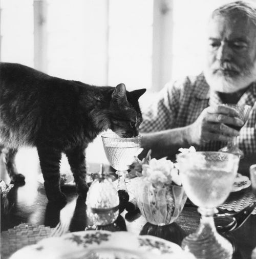 A black and white photo of a man with a beard sitting at a table, while a cat drinks from a glass nearby.
