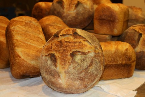 A variety of freshly baked loaves of bread, including round and rectangular shapes, on a cloth-covered surface.