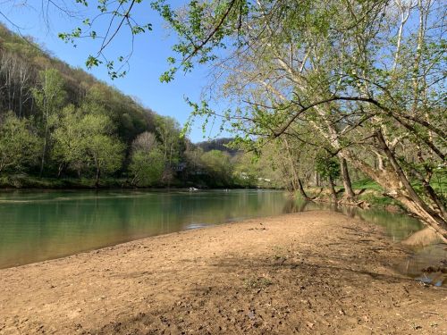 A serene riverbank scene with clear water, sandy shore, and lush green trees under a blue sky.