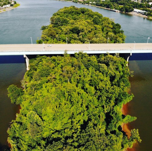 Aerial view of a bridge over a river, with a lush green island in the center and trees lining the banks.