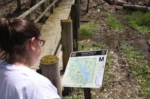A person studies a hiking trail map near a wooden path and a small stream in a wooded area.